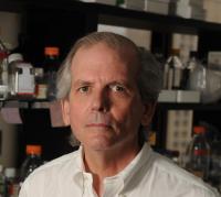 Timothy H. Bestor, PhD